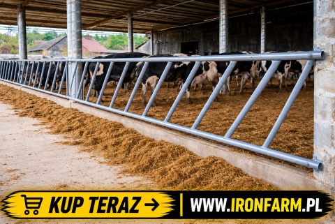 Drabina paszowa dla bydła skośna / prosta – stal czarna – 1 mb