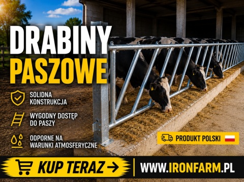 Drabina paszowa dla bydła skośna / prosta – malowana – 1 mb